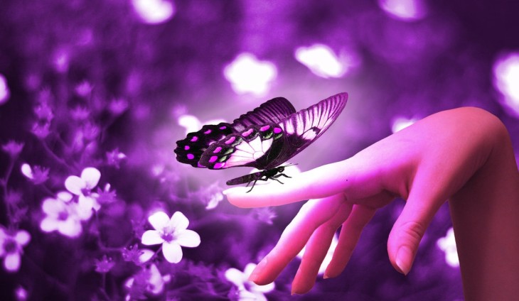 fairy tale fluture_modificat
